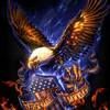 knighthawk81166